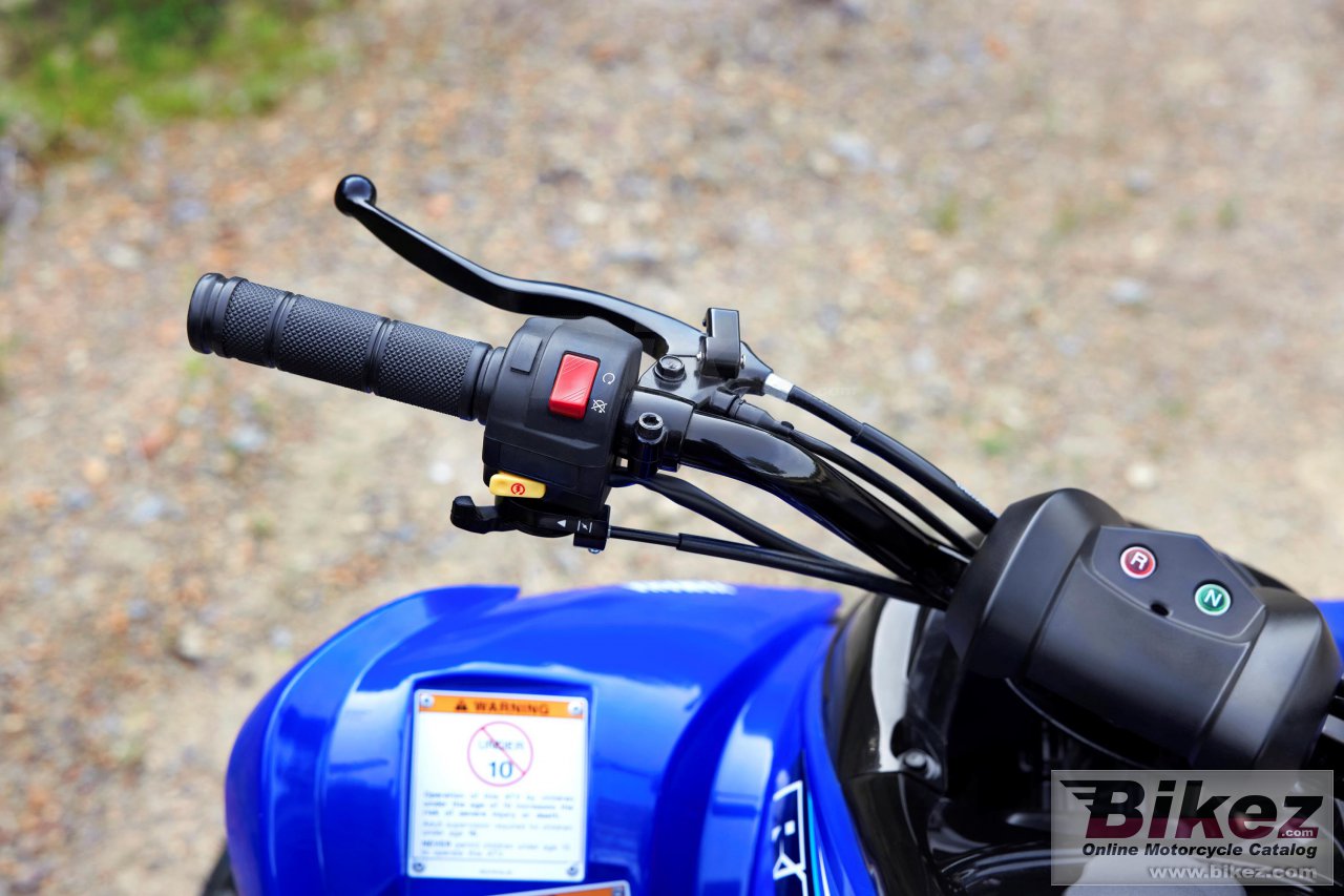 Yamaha Raptor 90 Poster